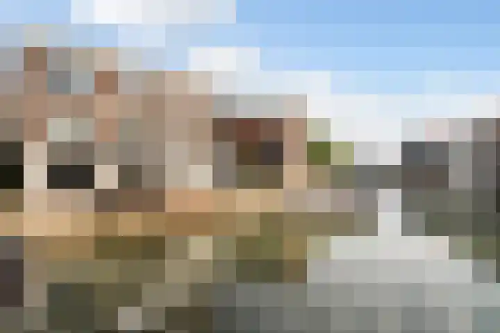 Wijnbrug 5 C Dordrecht thumbnail 36