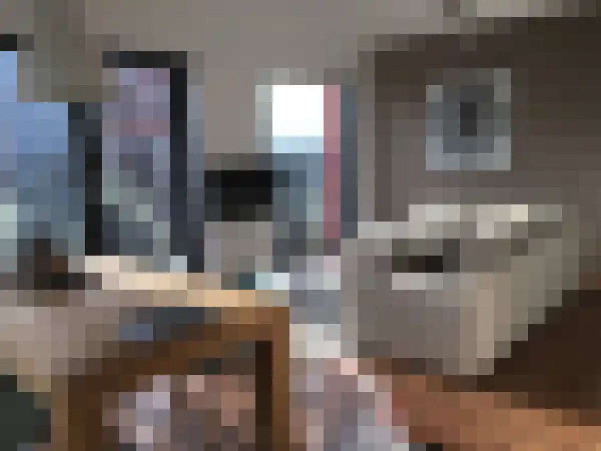 Wijnbrugstraat 124 Rotterdam thumbnail 6