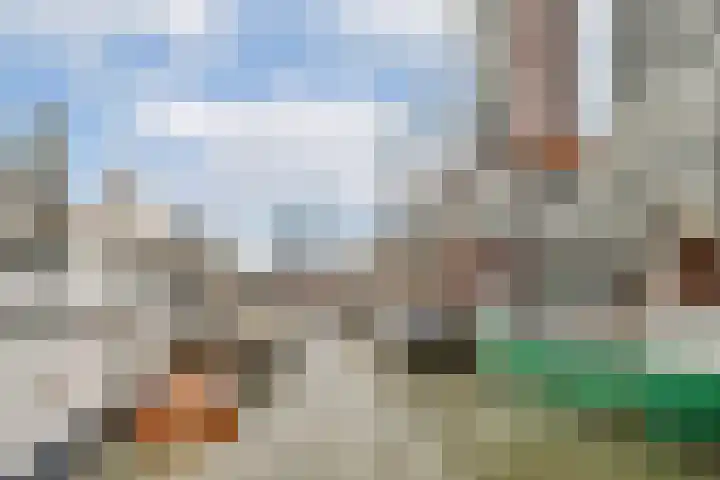 Wijnbrugstraat 13 F Rotterdam thumbnail 31