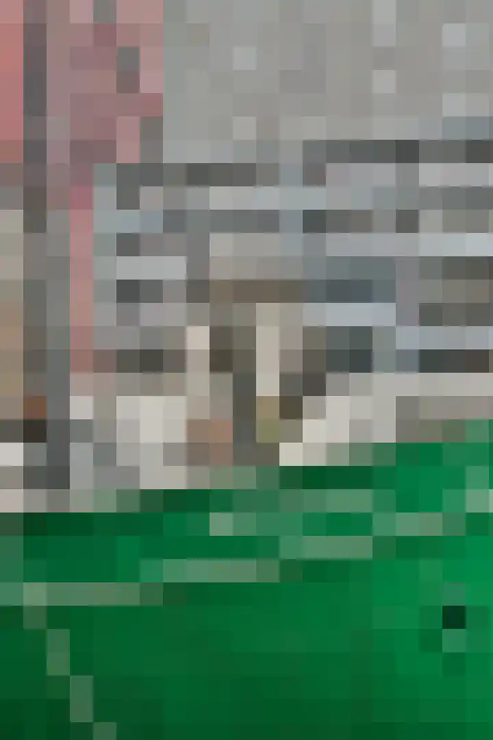Wijnbrugstraat 13 F Rotterdam thumbnail 35