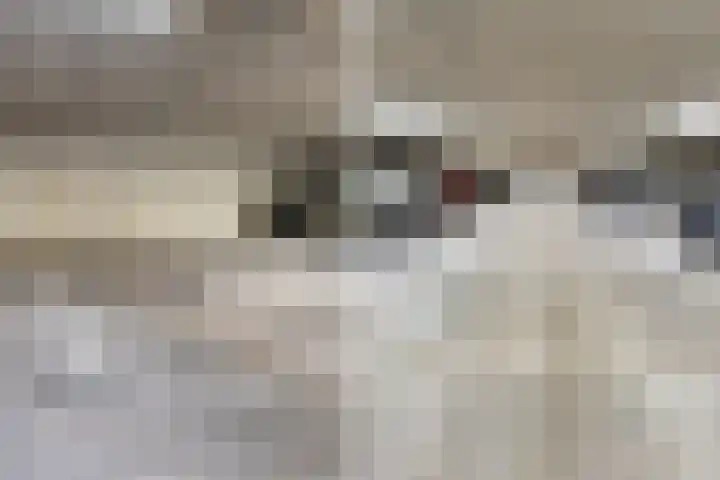 Wijnbrugstraat 13 F Rotterdam thumbnail 4