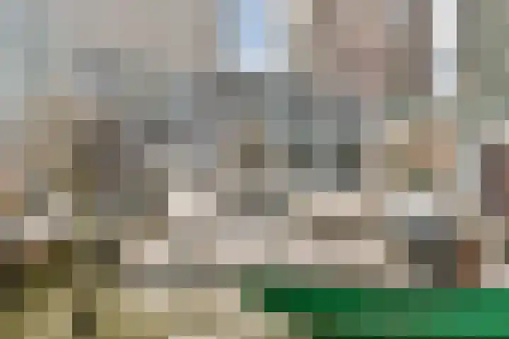 Wijnbrugstraat 13 F Rotterdam thumbnail 5