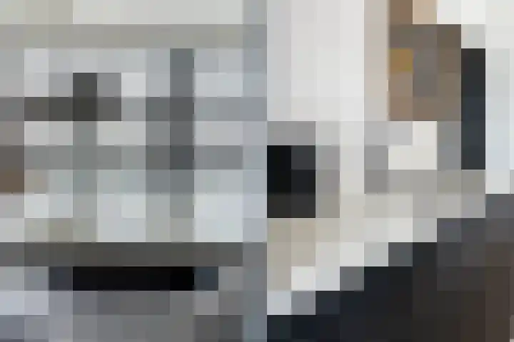 Wijnbrugstraat 13 F Rotterdam thumbnail 8