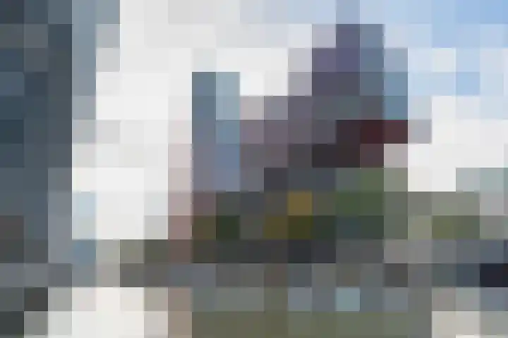 Wijnbrugstraat 130 Rotterdam thumbnail 29