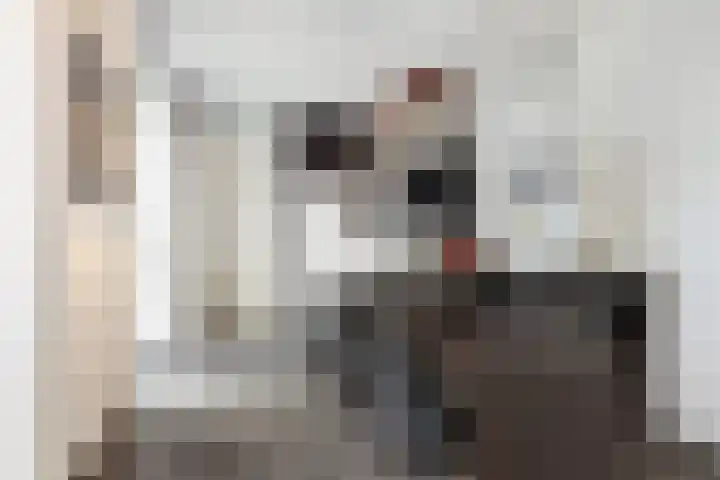Wijnbrugstraat 138 Rotterdam thumbnail 10