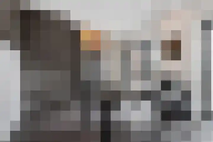 Wijnbrugstraat 138 Rotterdam thumbnail 20
