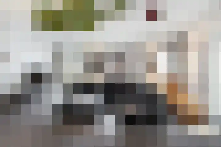 Wijnbrugstraat 138 Rotterdam thumbnail 4