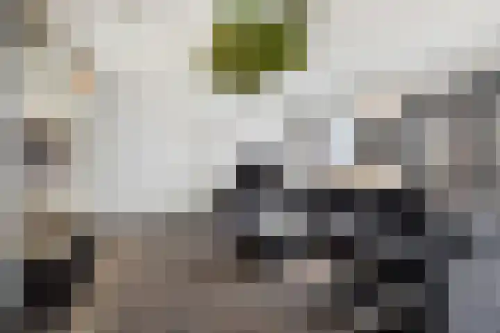 Wijnbrugstraat 138 Rotterdam thumbnail 5