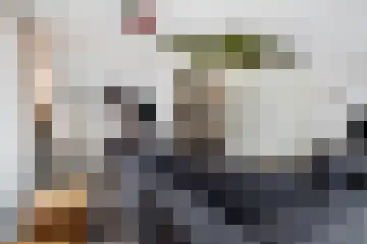 Wijnbrugstraat 138 Rotterdam thumbnail 8