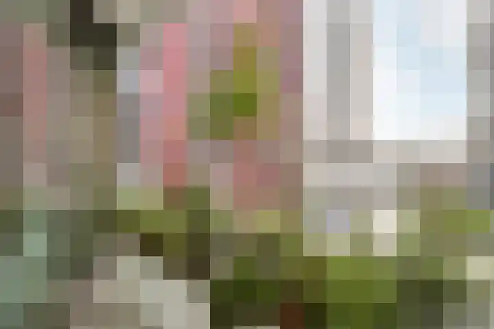 Wijnbrugstraat 155 Rotterdam thumbnail 16