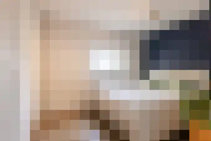 Wijnbrugstraat 155 Rotterdam thumbnail 5