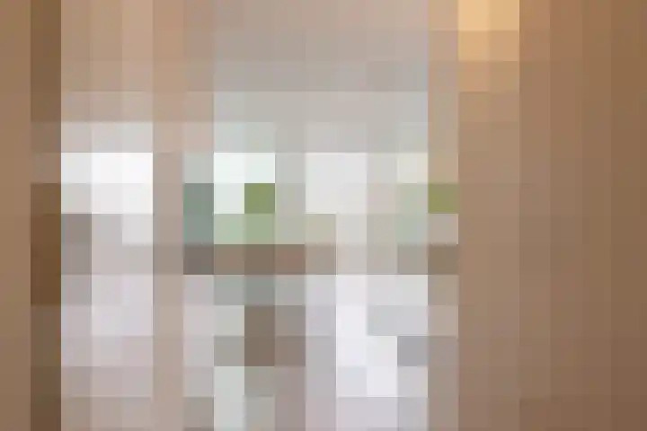 Wijnbrugstraat 155 Rotterdam thumbnail 7