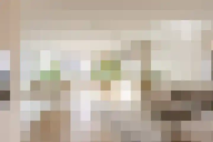 Wijnbrugstraat 155 Rotterdam thumbnail 8