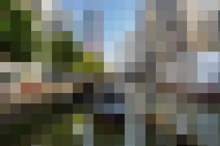 Wijnbrugstraat 156 Rotterdam thumbnail 25