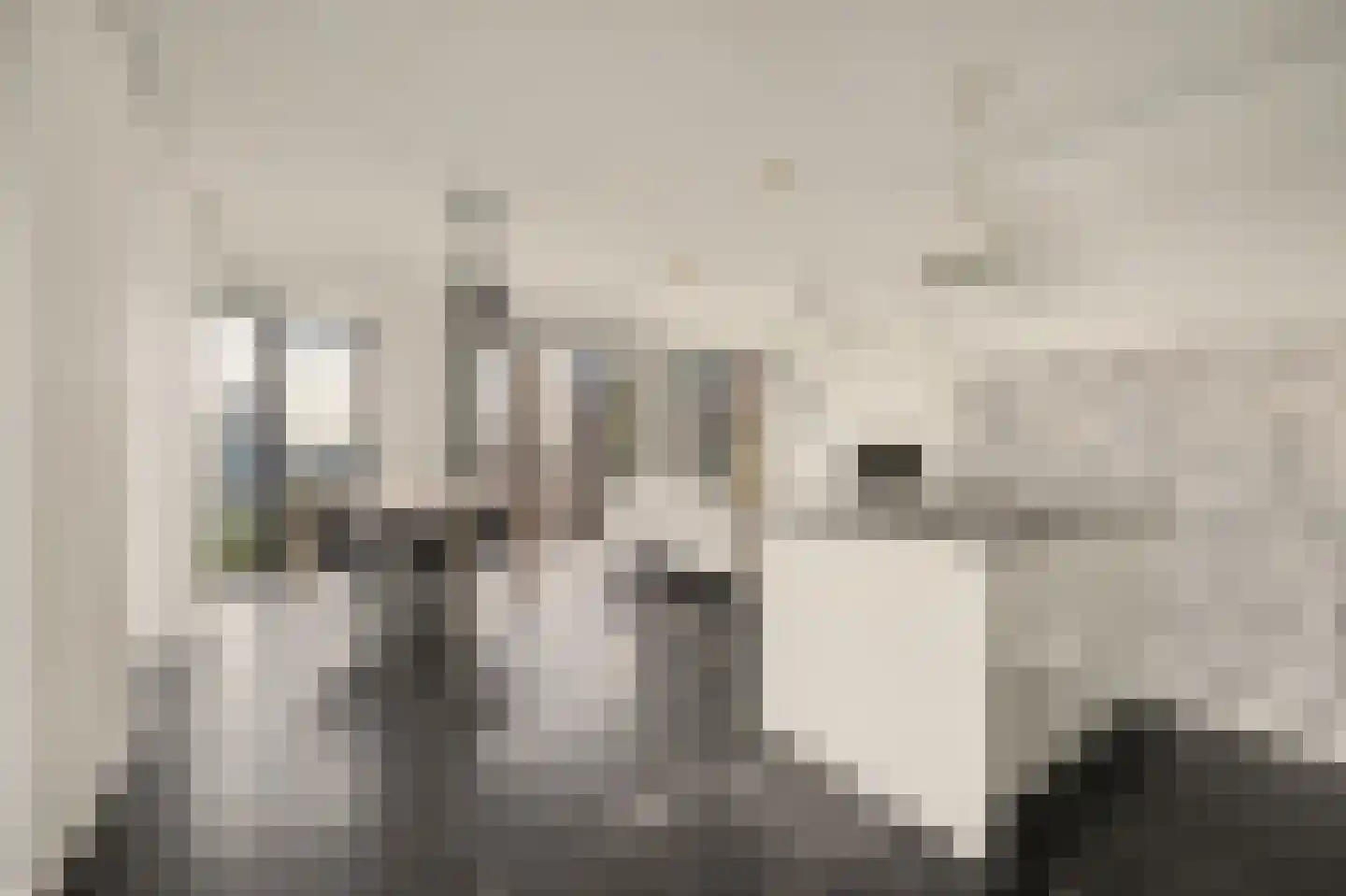 Wijnbrugstraat 172 Rotterdam thumbnail 4