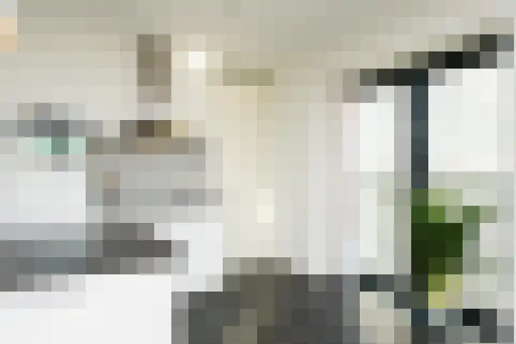 Wijnbrugstraat 172 Rotterdam thumbnail 9