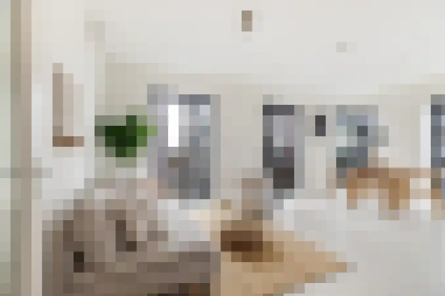 Wijnbrugstraat 174 Rotterdam thumbnail 11