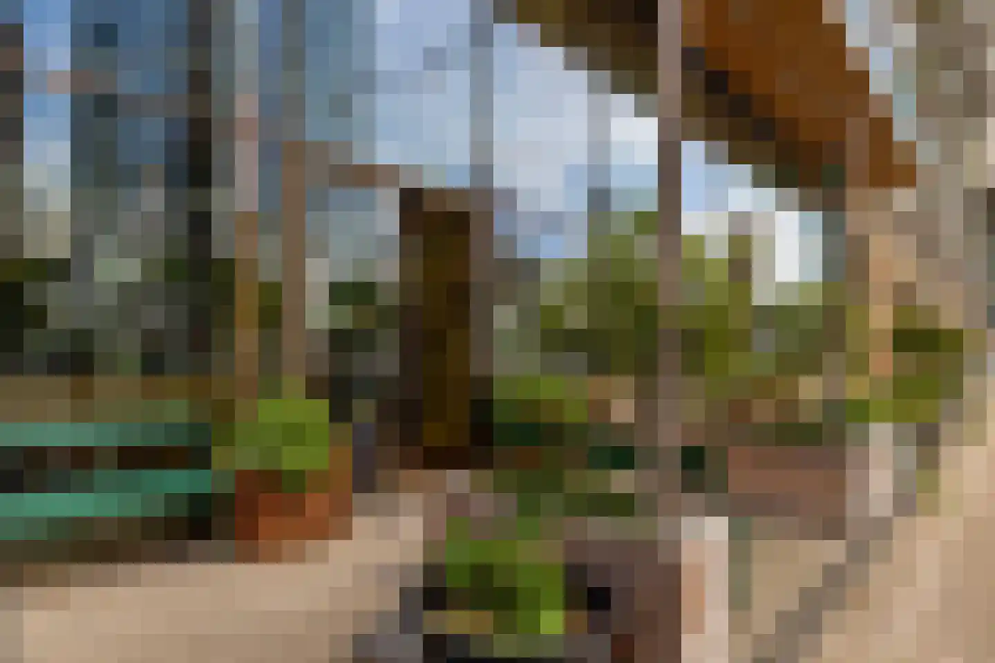 Wijnbrugstraat 174 Rotterdam thumbnail 42