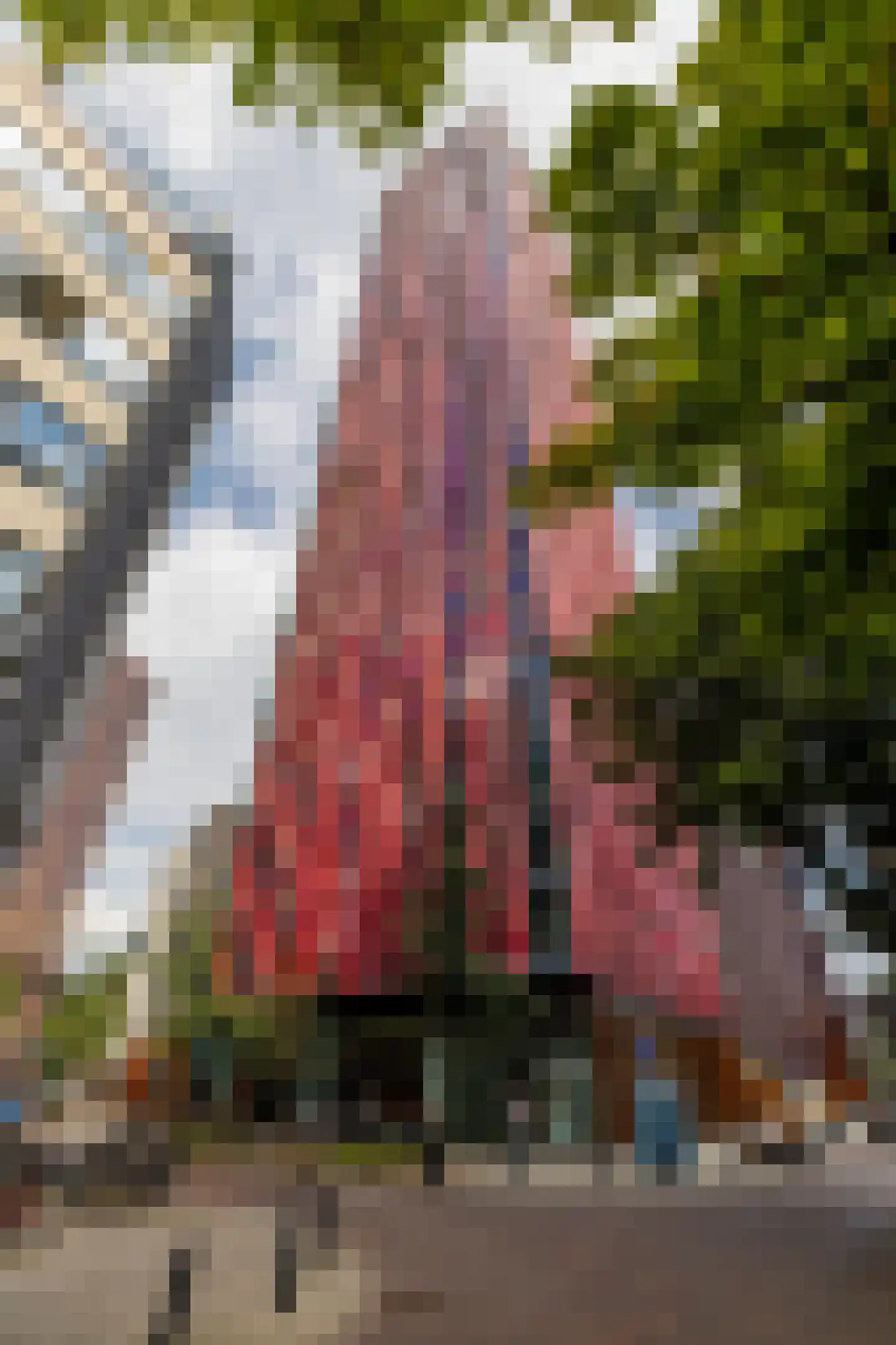 Wijnbrugstraat 174 Rotterdam thumbnail 47