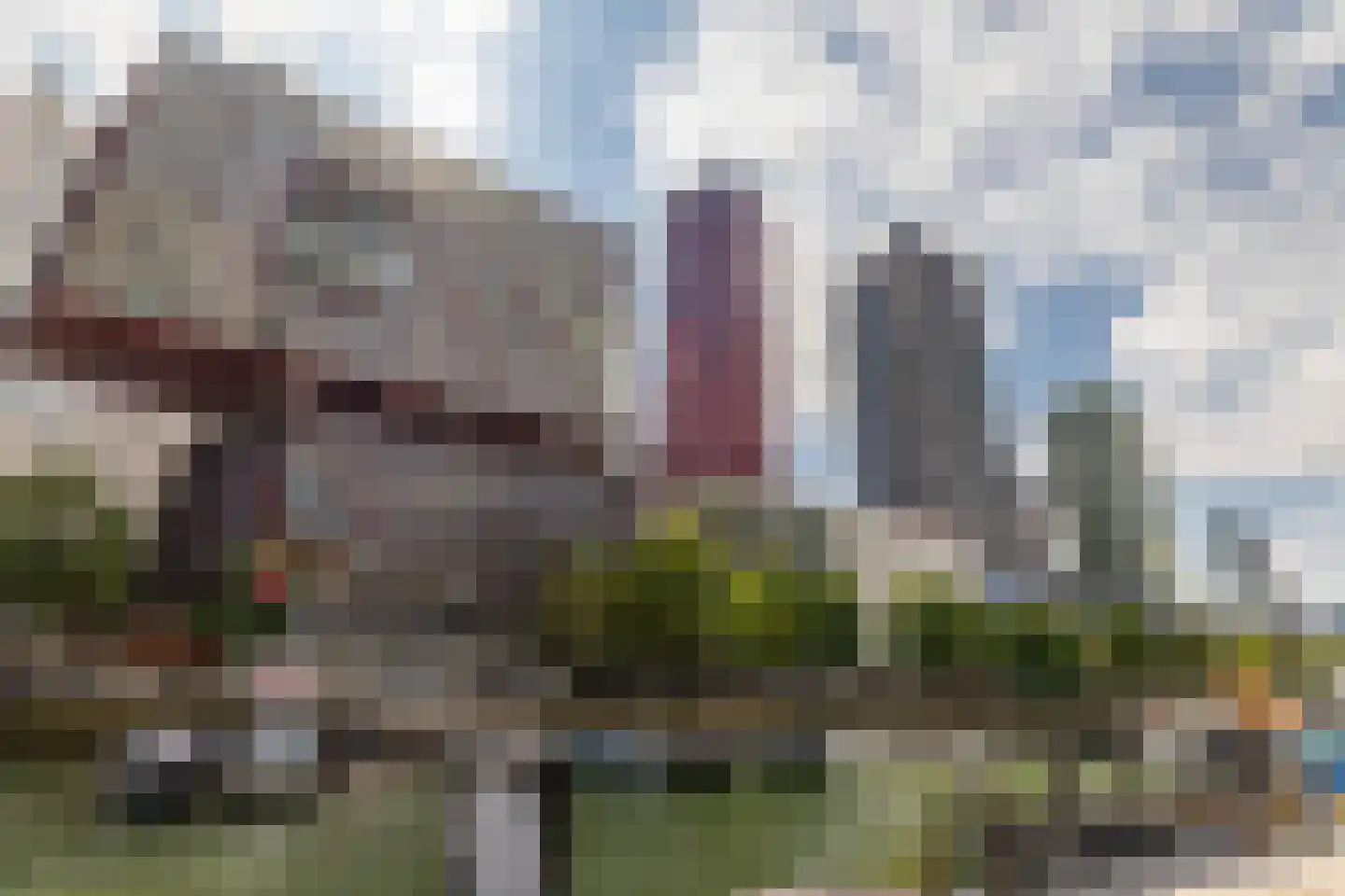 Wijnbrugstraat 174 Rotterdam thumbnail 6