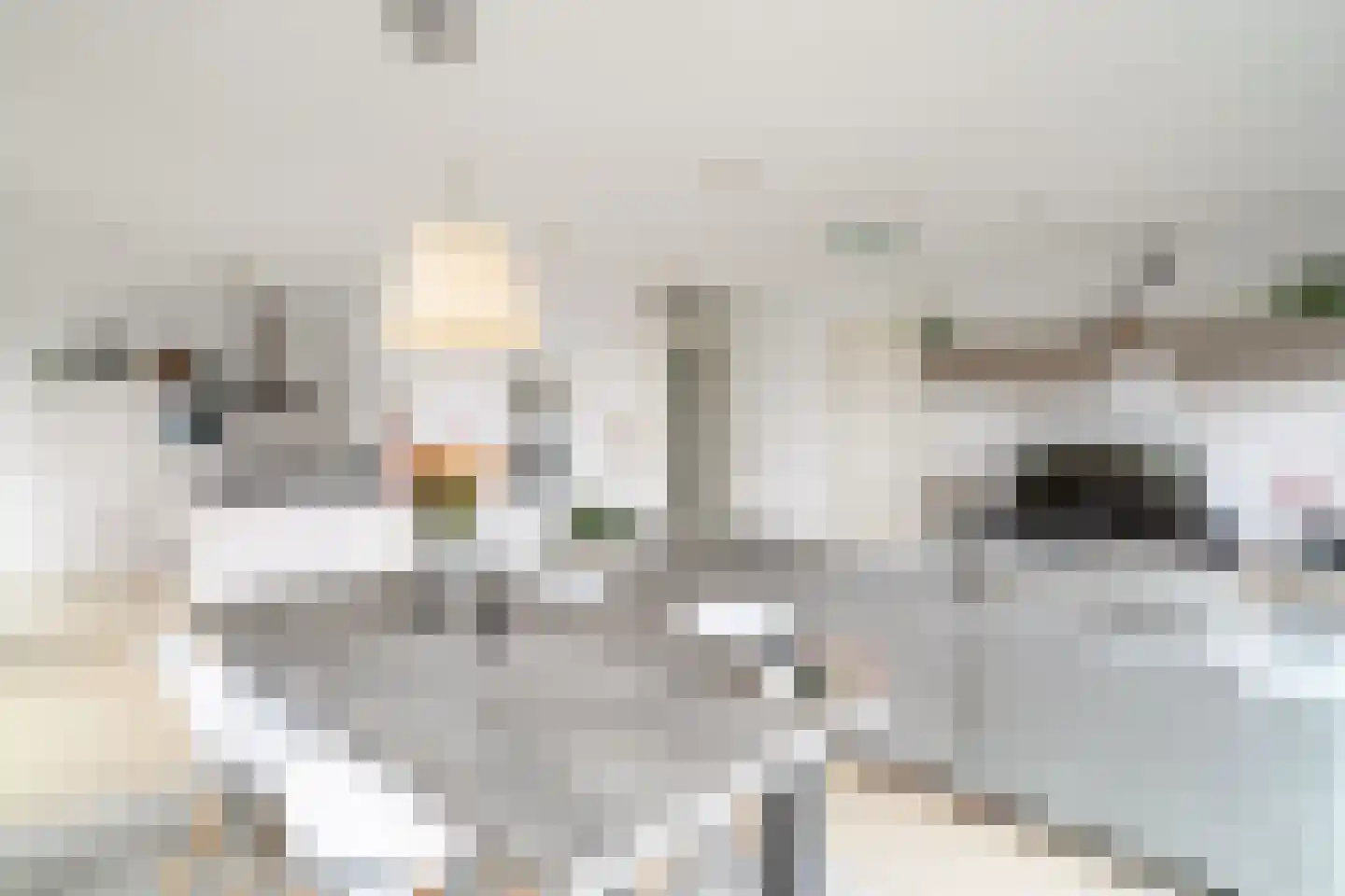Wijnbrugstraat 186 Rotterdam thumbnail 24