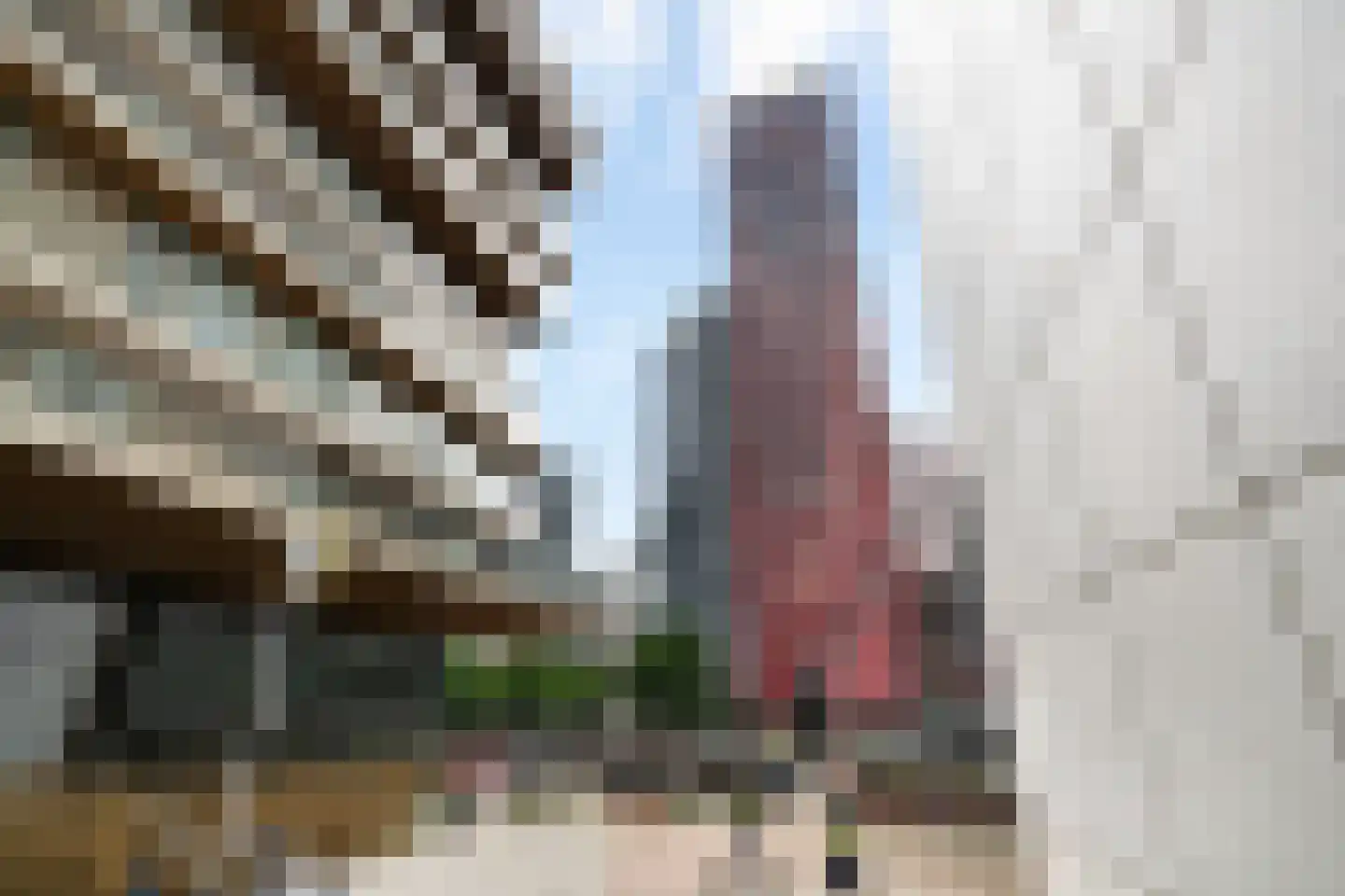 Wijnbrugstraat 186 Rotterdam thumbnail 42