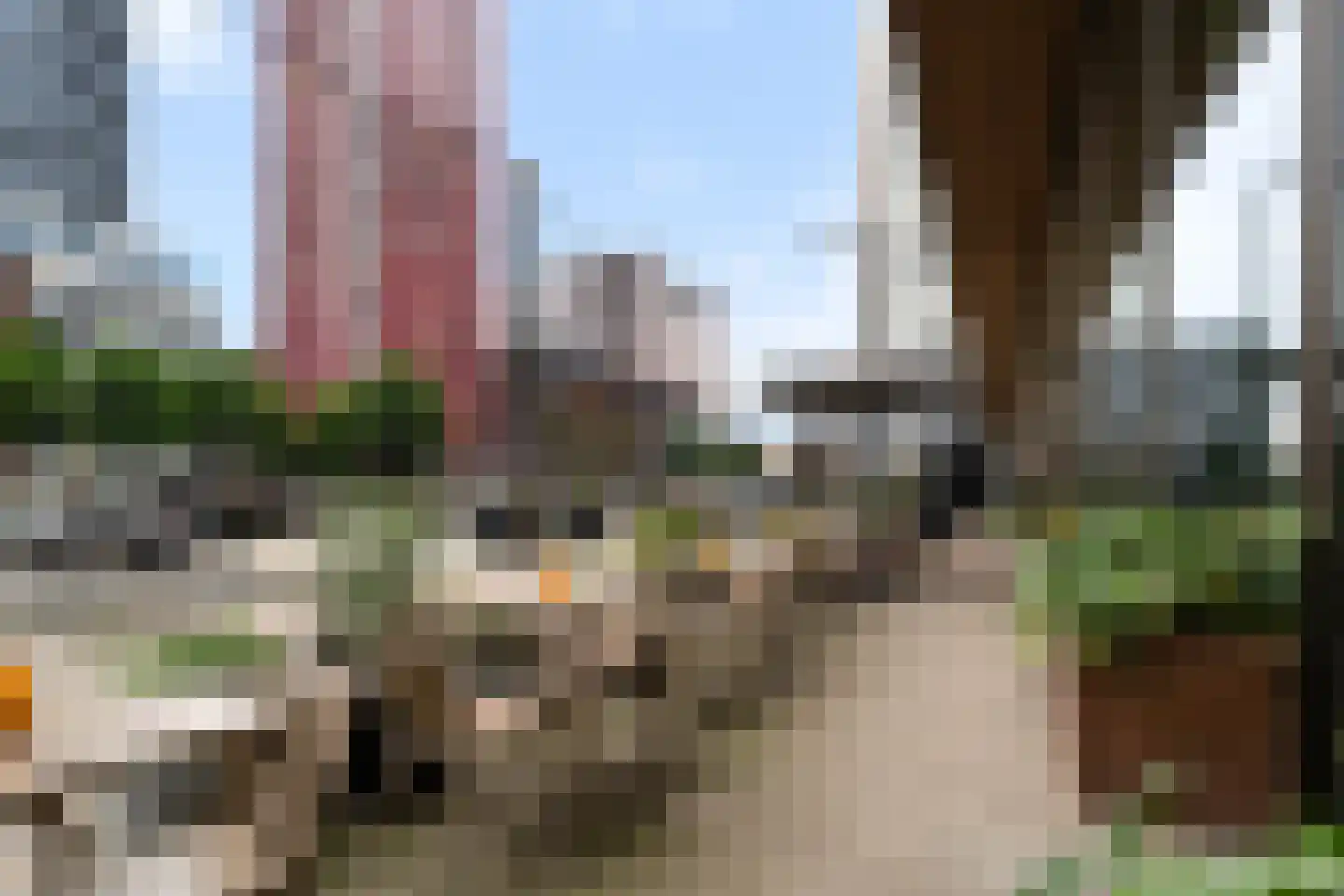 Wijnbrugstraat 186 Rotterdam thumbnail 43