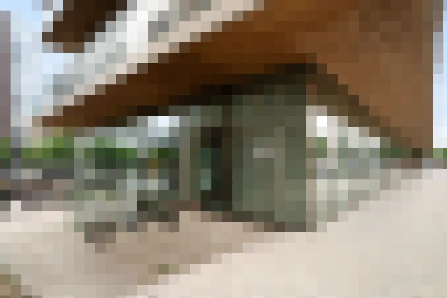 Wijnbrugstraat 186 Rotterdam thumbnail 44