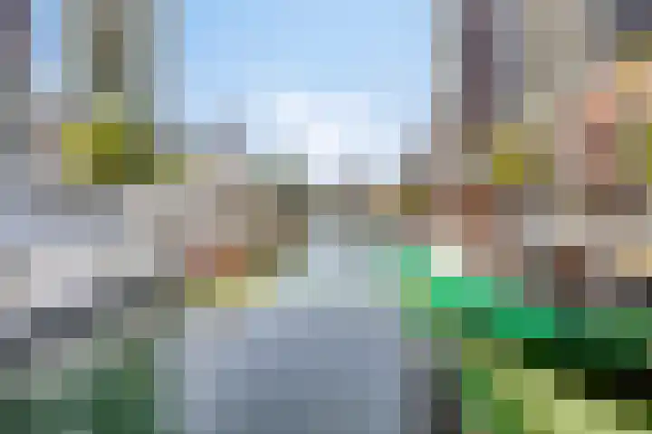 Wijnbrugstraat 201 Rotterdam thumbnail 19