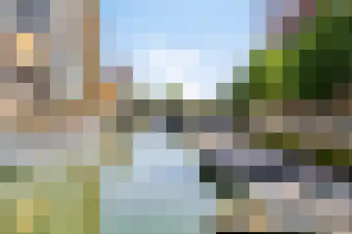 Wijnbrugstraat 201 Rotterdam thumbnail 20
