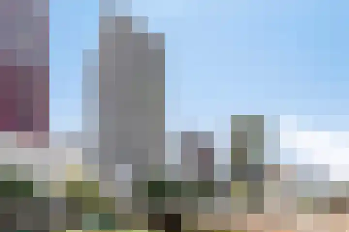 Wijnbrugstraat 201 Rotterdam thumbnail 23
