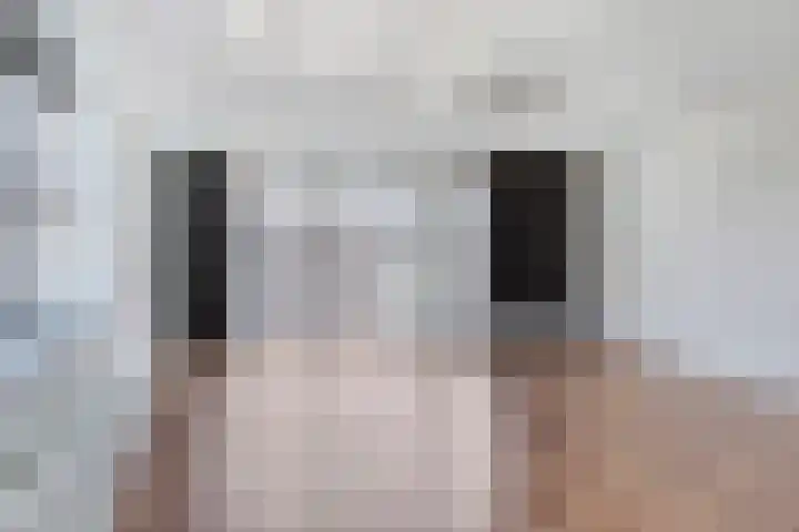 Wijnbrugstraat 201 Rotterdam thumbnail 8