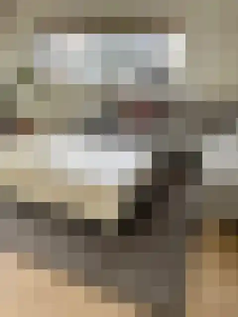 Wijnbrugstraat 203 Rotterdam thumbnail 5
