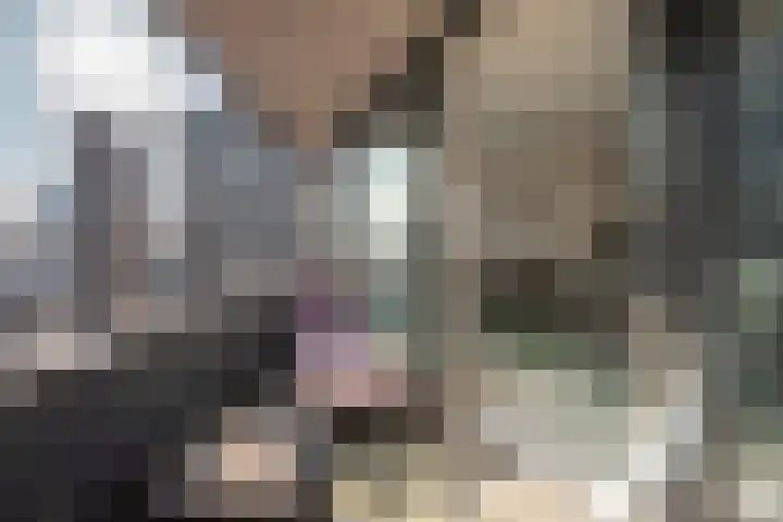 Wijnbrugstraat 219 Rotterdam thumbnail 11