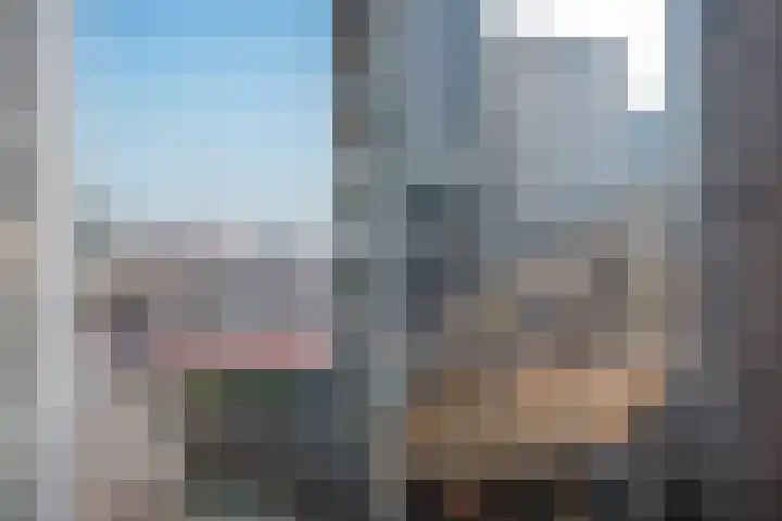 Wijnbrugstraat 219 Rotterdam thumbnail 17