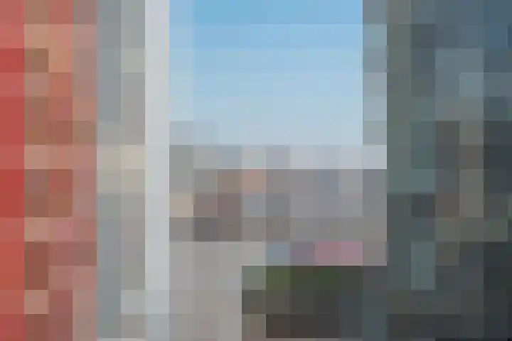 Wijnbrugstraat 219 Rotterdam thumbnail 20