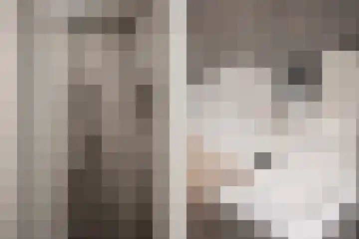 Wijnbrugstraat 219 Rotterdam thumbnail 36