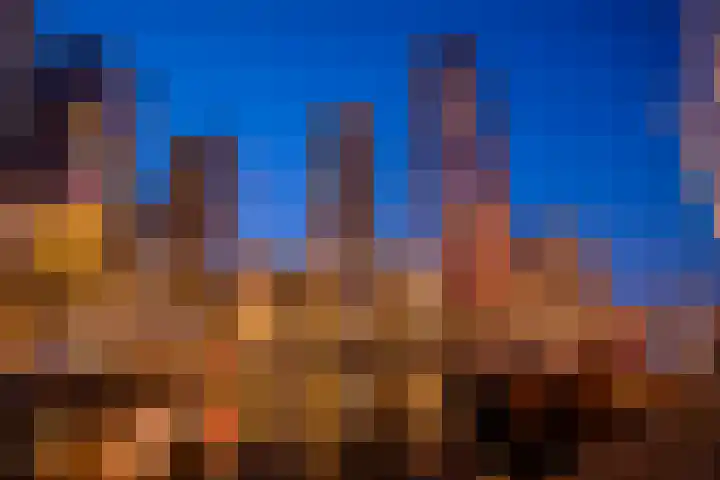 Wijnbrugstraat 219 Rotterdam thumbnail 42
