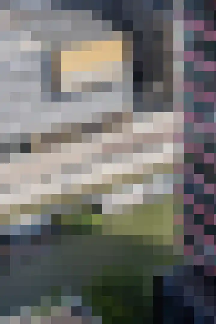 Wijnbrugstraat 226 Rotterdam thumbnail 11