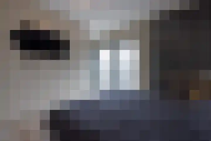 Wijnbrugstraat 226 Rotterdam thumbnail 20