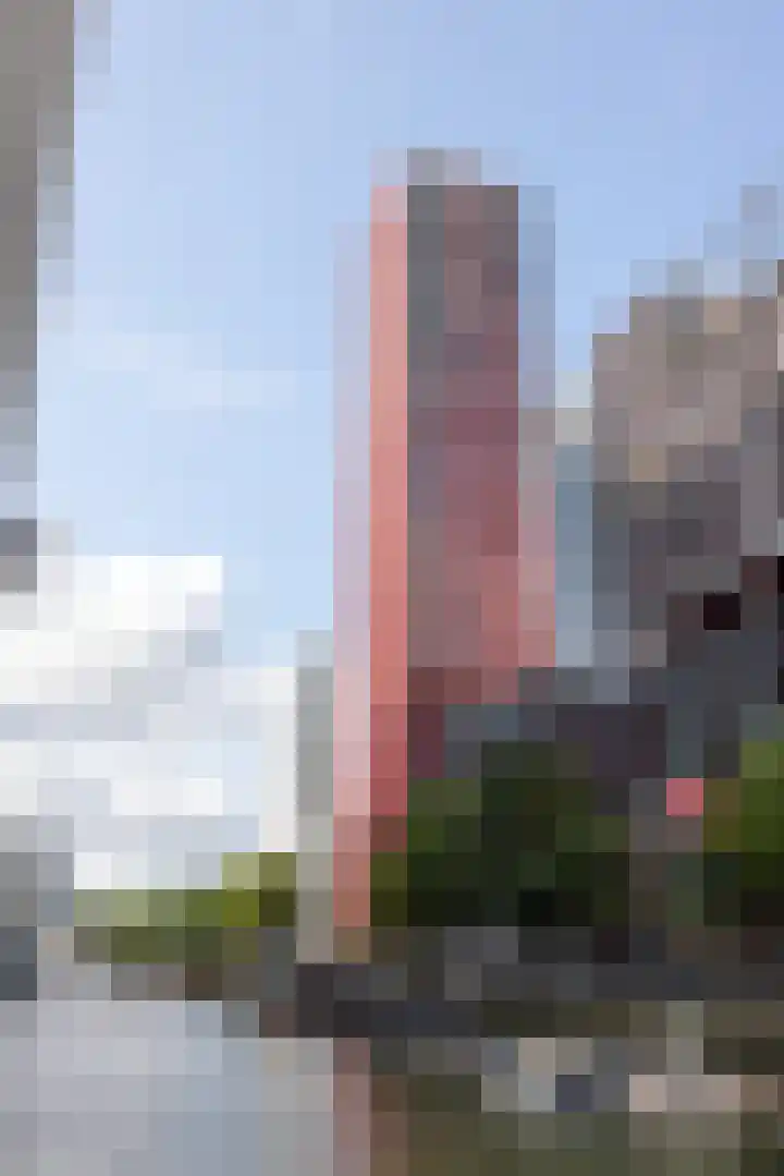 Wijnbrugstraat 226 Rotterdam thumbnail 6
