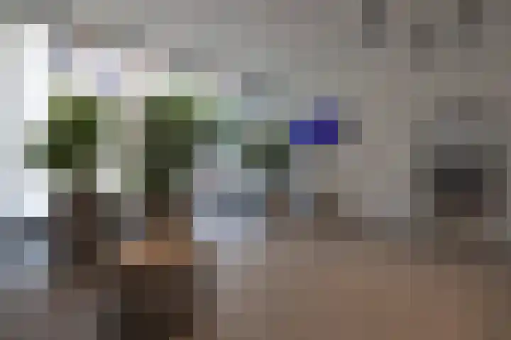 Wijnbrugstraat 226 Rotterdam thumbnail 7