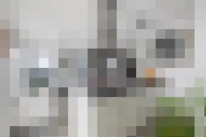 Wijnbrugstraat 228 Rotterdam thumbnail 11