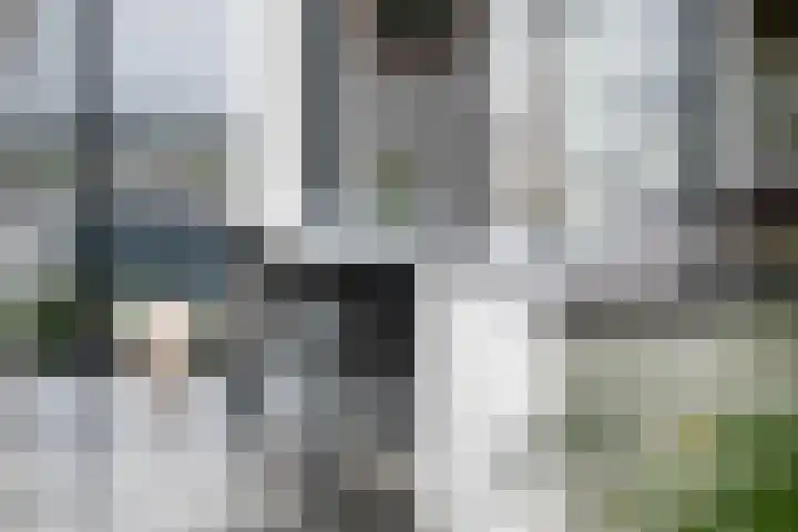 Wijnbrugstraat 228 Rotterdam thumbnail 8