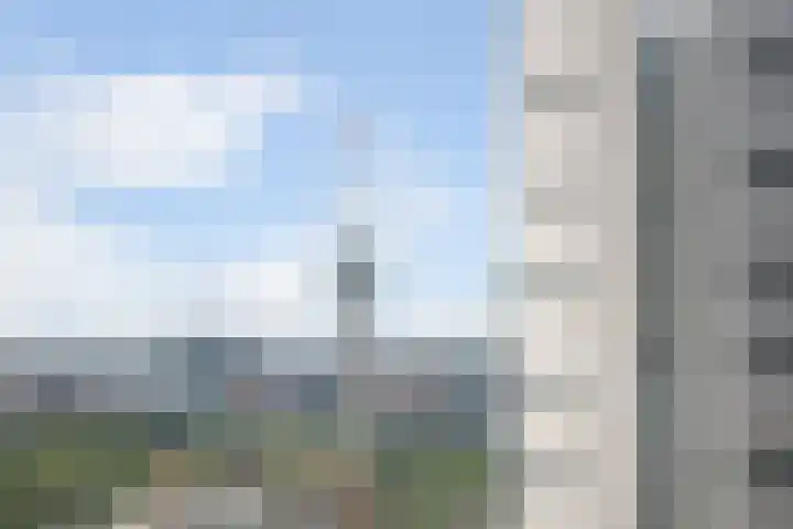 Wijnbrugstraat 228 Rotterdam thumbnail 9
