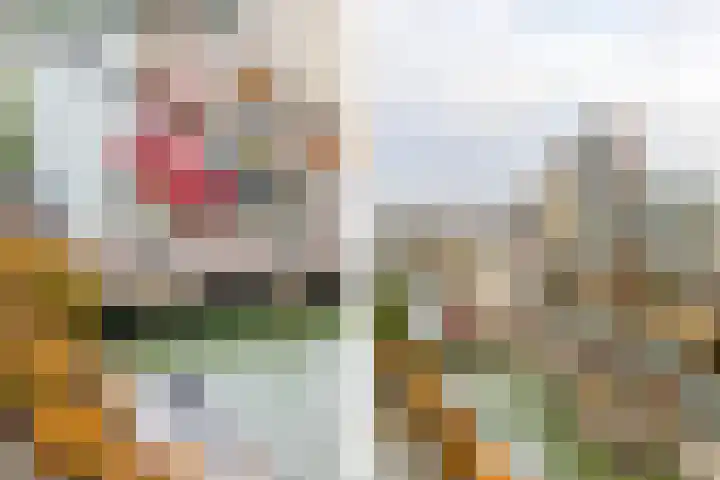 Wijnbrugstraat 261 Rotterdam thumbnail 11