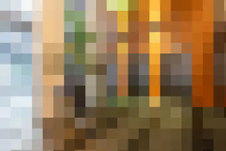 Wijnbrugstraat 261 Rotterdam thumbnail 18