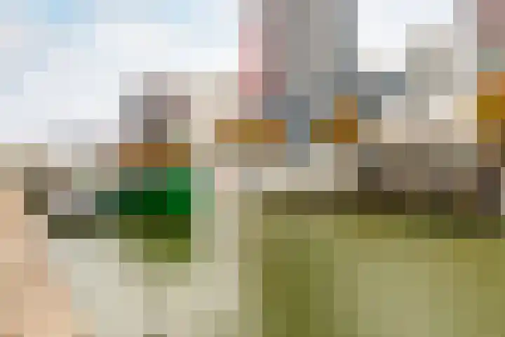 Wijnbrugstraat 261 Rotterdam thumbnail 20