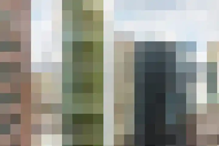 Wijnbrugstraat 261 Rotterdam thumbnail 6
