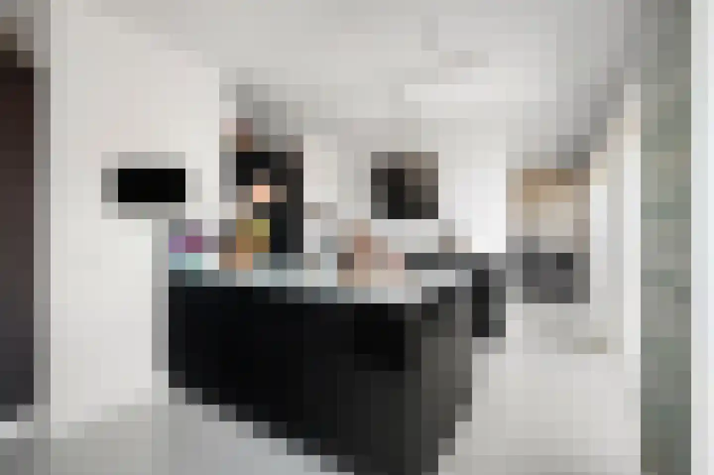 Wijnbrugstraat 264 Rotterdam thumbnail 7